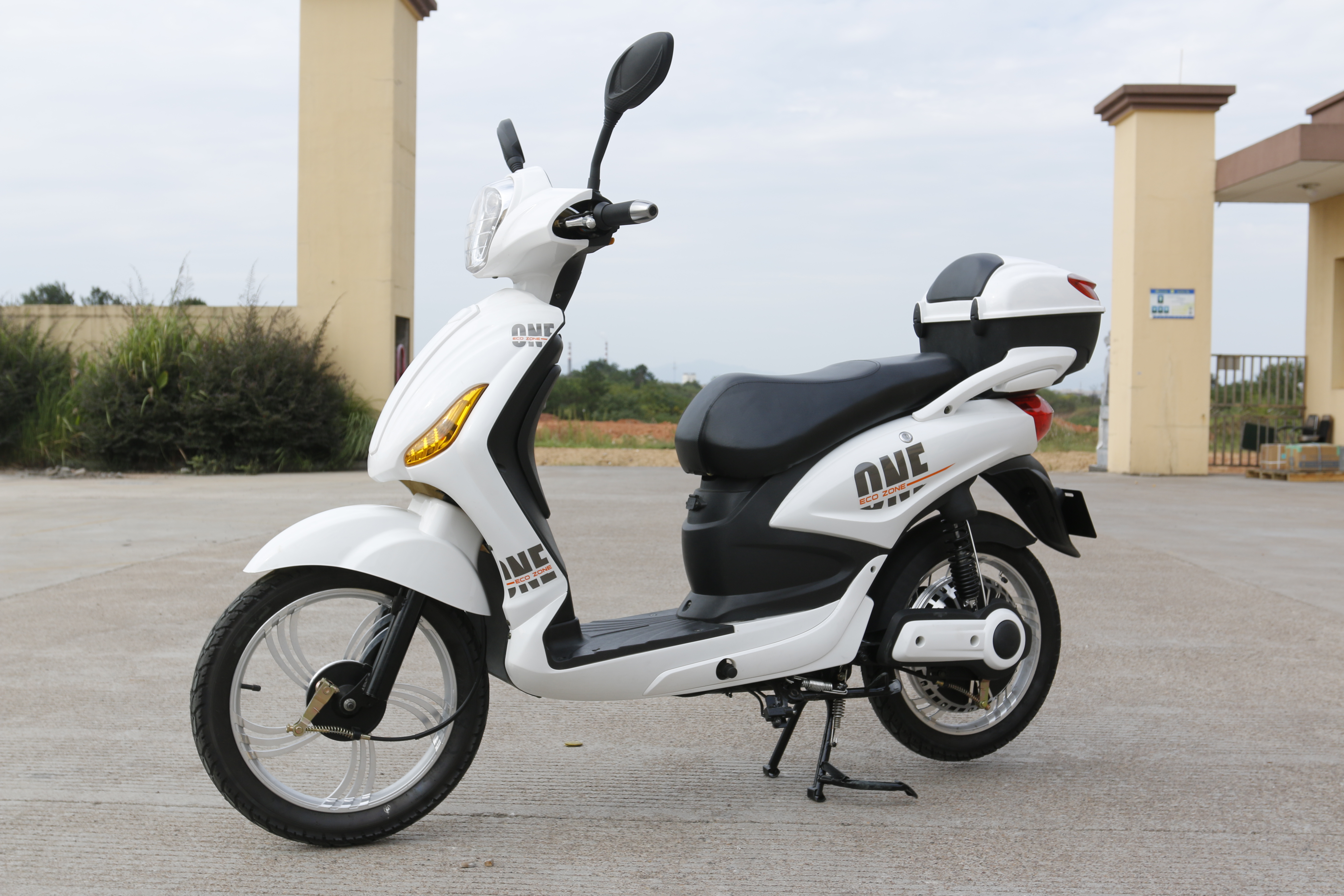250W motor Electric bike with step city rode EEC